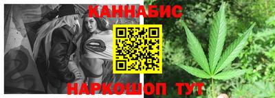 шишки Славгород