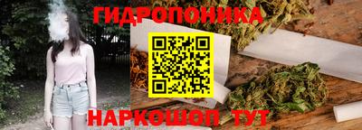 шишки Славгород