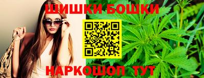 шишки Славгород