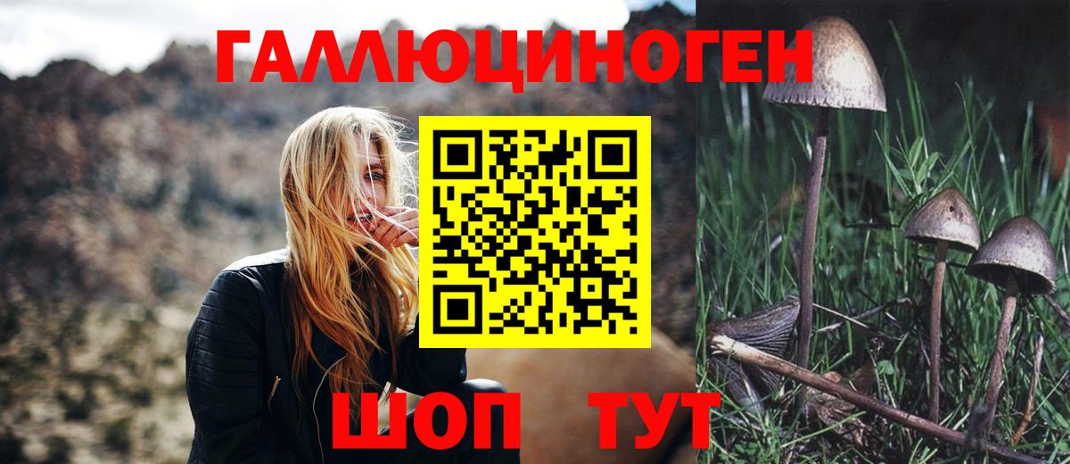 Новороссийск  Псилоцибиновые грибы прущие грибы  где купить наркотик  Вход с VPN 