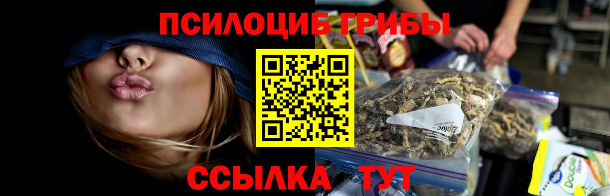Галлюциногенные грибы прущие грибы Новороссийск